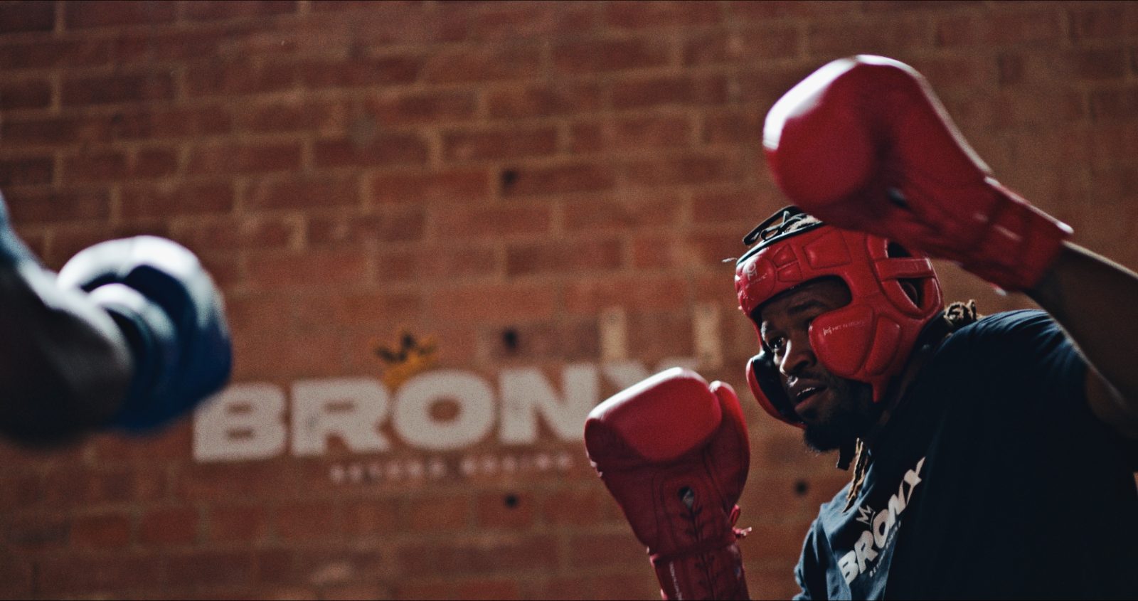 Sparring at Bronx