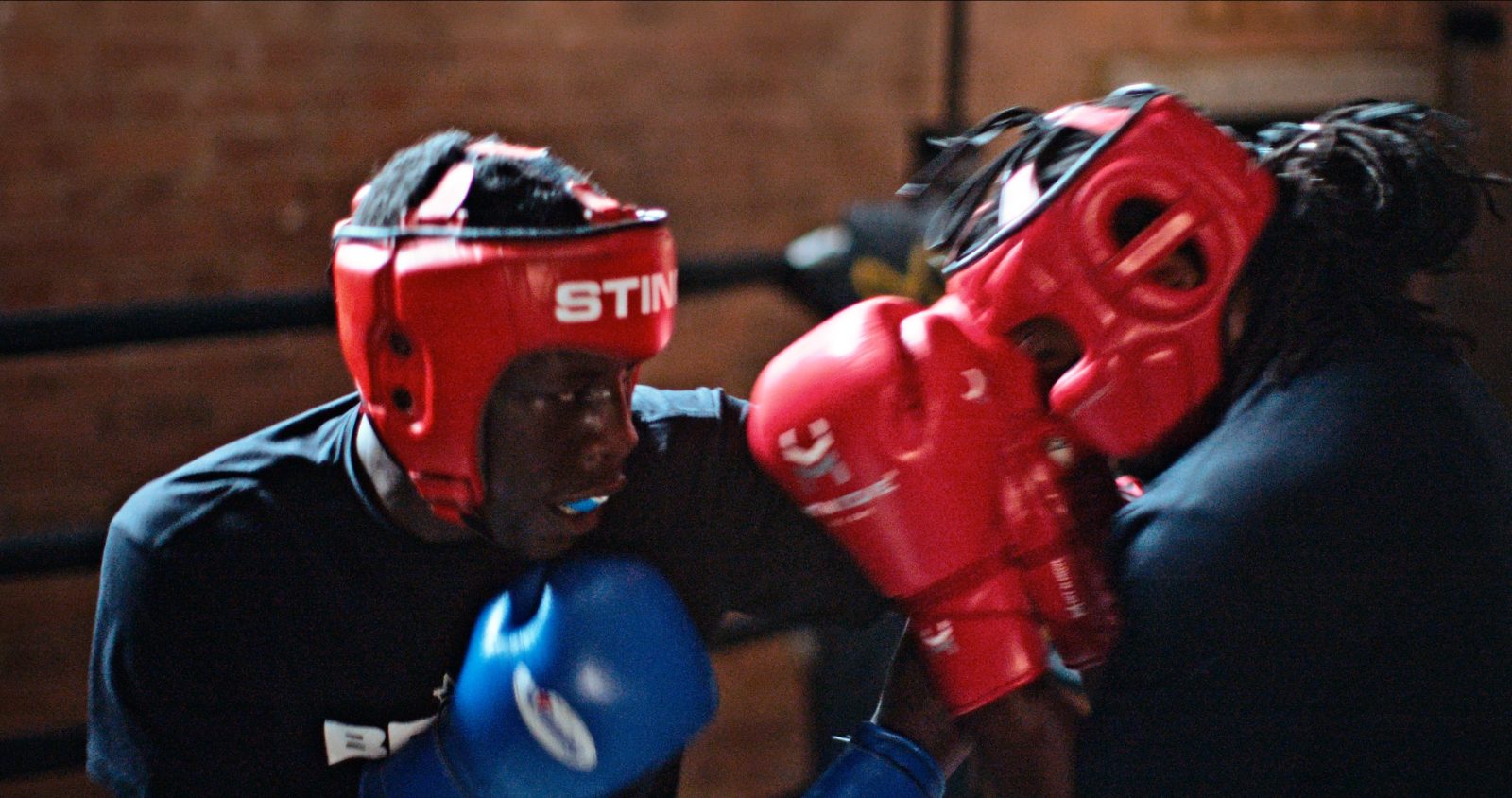 Sparring at Bronx